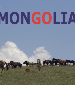 EXPERIENCIA EN MONGOLIA EN PRIVADO