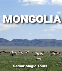 EXPERIENCIA EN MONGOLIA EN PRIVADO CON SAMAR MAGIC TOURS