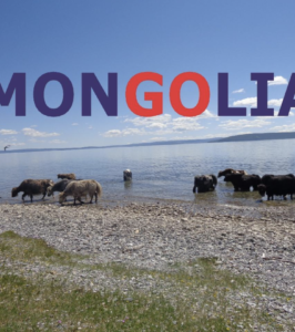 GRAN EXPEDICIÓN 4X4 MONGOLIA AL COMPLETO EN GRUPO CON DOS VUELOS INCLUIDOS AL PARQUE NACIONAL GRAN LAGO KHUVSGUL CON SAMAR MAGIC TOURS