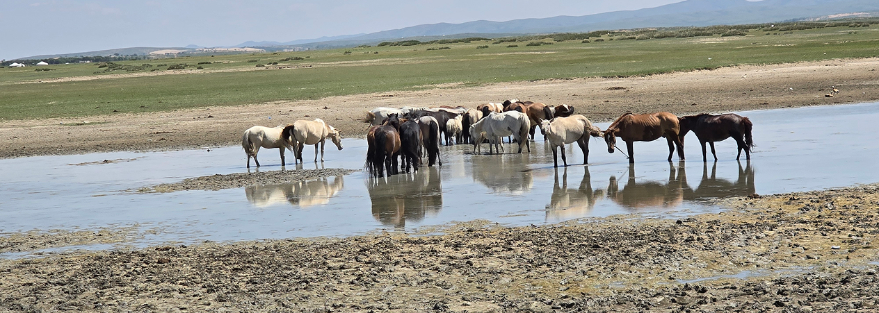 5 Cosas que te enamorarán de Mongolia