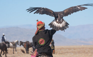 Viaje especial en grupo al festival del águila dorada